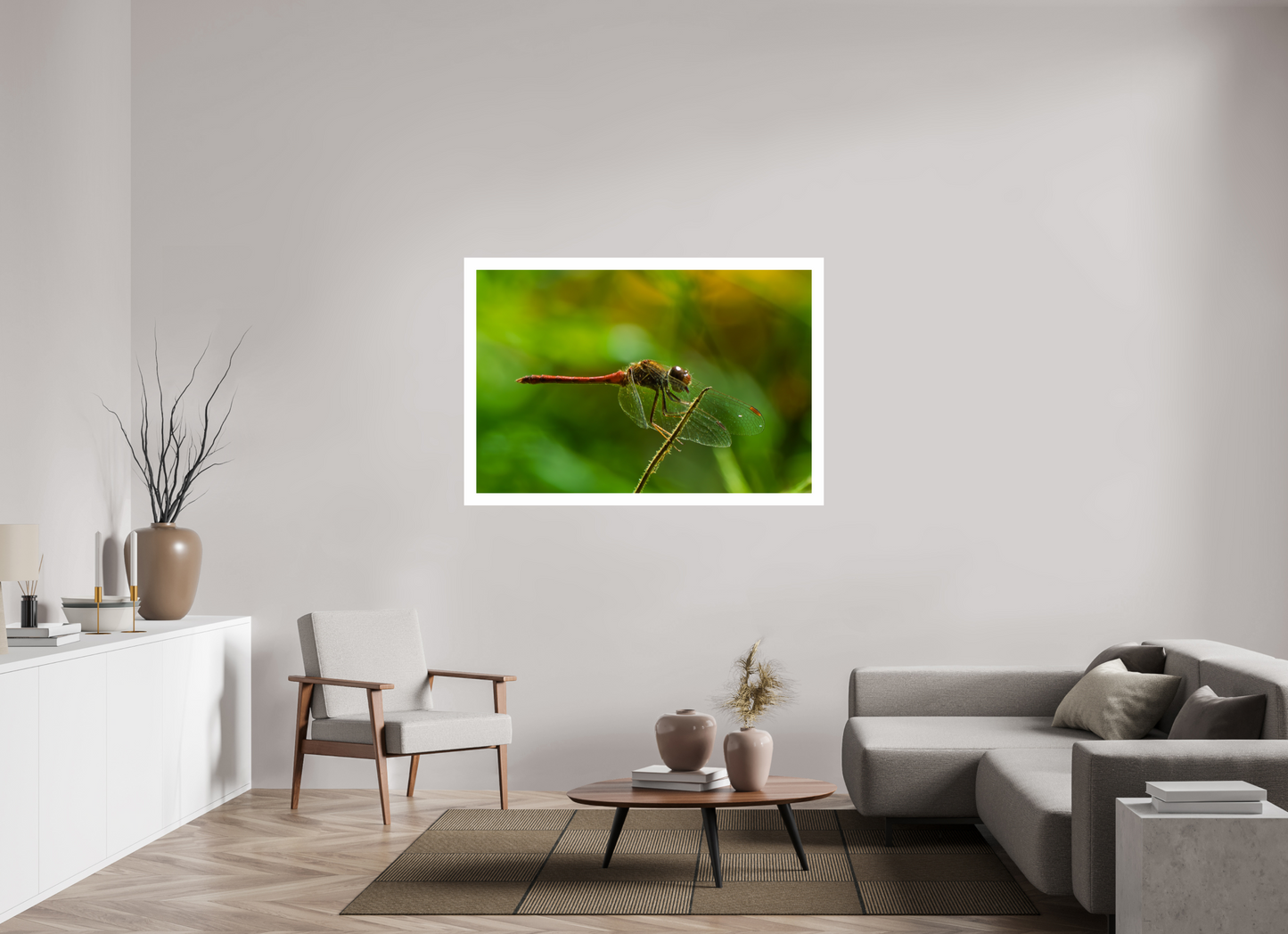 54 x 36″, Hahnemühle Photo Rag Baryta, 2 in. white border. (Print Only) Autumn Meadowhawk Dragonfly (male) 01