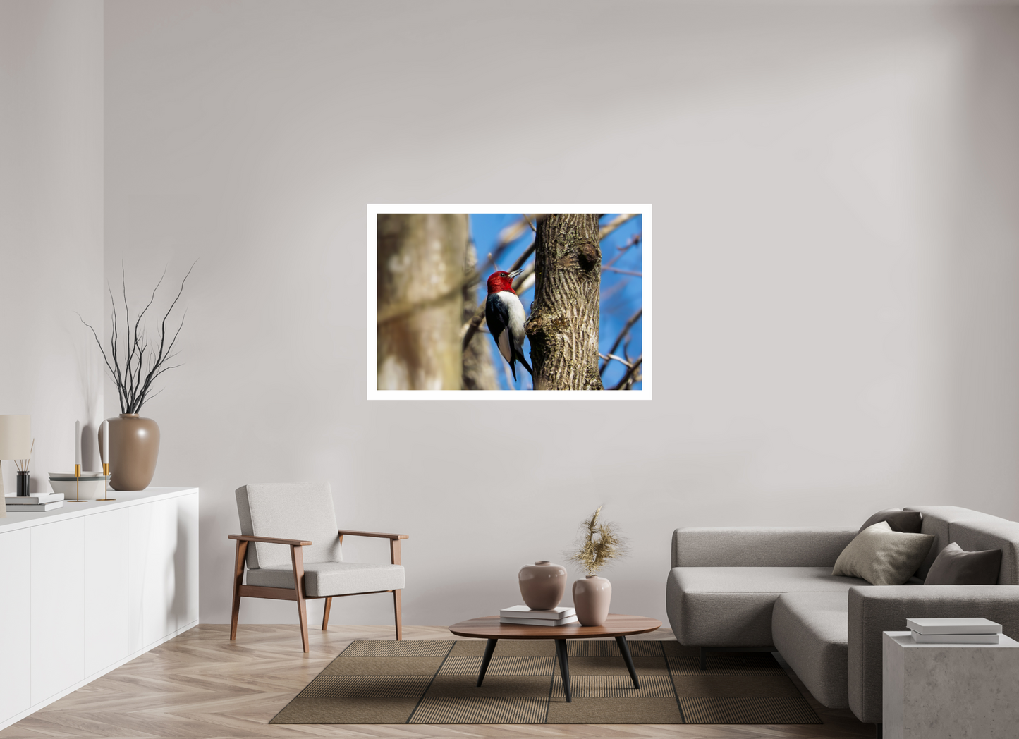 54 x 36″, Hahnemühle Photo Rag Baryta, 2 in. white border. (Print Only) Red-headed Woodpecker 01