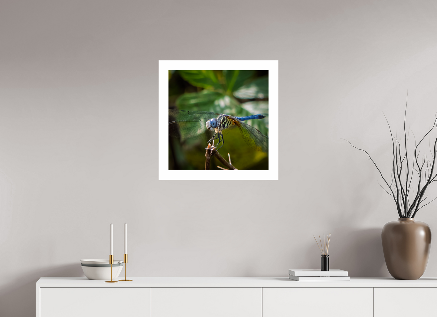 Blue Dasher 01