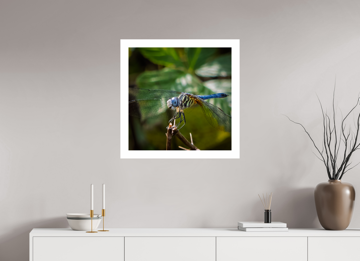 Blue Dasher 01