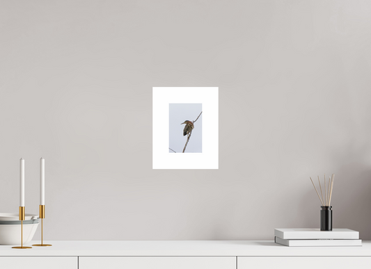 4 x 6″, Hahnemühle Photo Rag Baryta, 2 in. white border. (Print Only) Green Heron 03