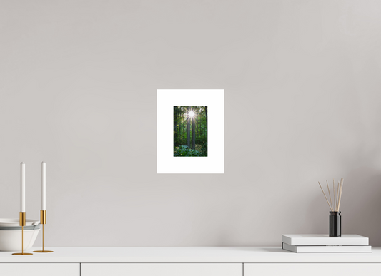 Twin Trees Sunburst 01
