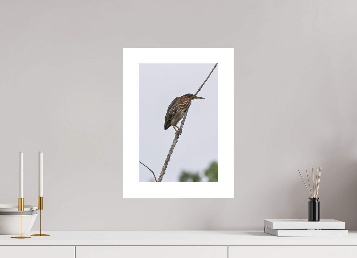 10 x 15″, Hahnemühle Photo Rag Baryta, 2 in. white border. (Print Only) Green Heron 02