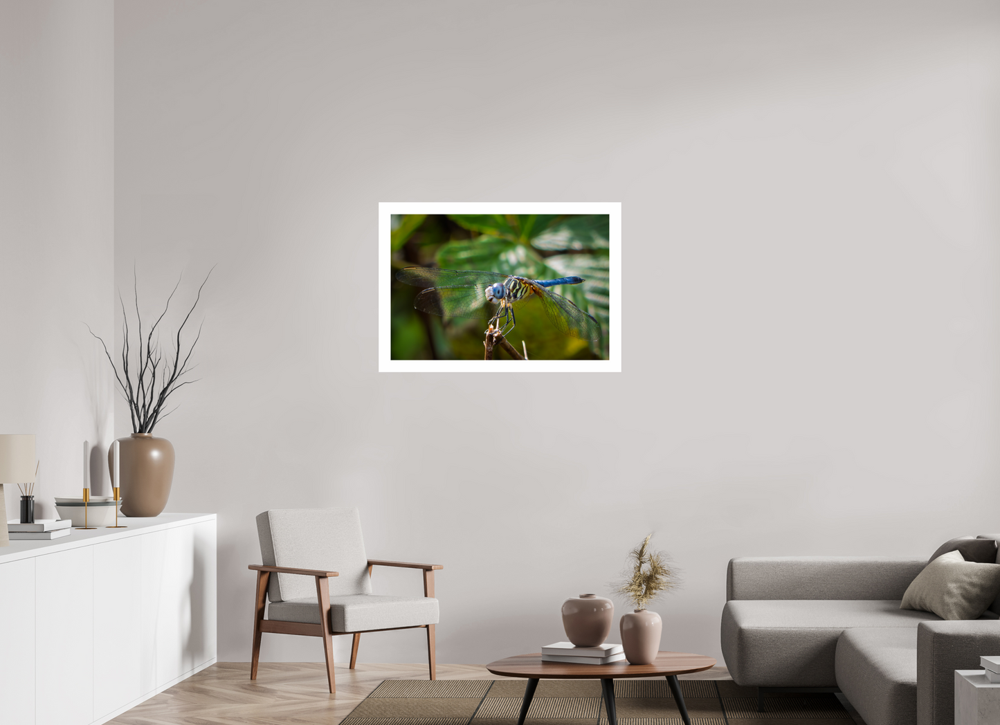 36 x 24″, Hahnemühle Photo Rag Baryta, 2 in. white border. (Print Only) Blue Dasher Dragonfly (male) 02