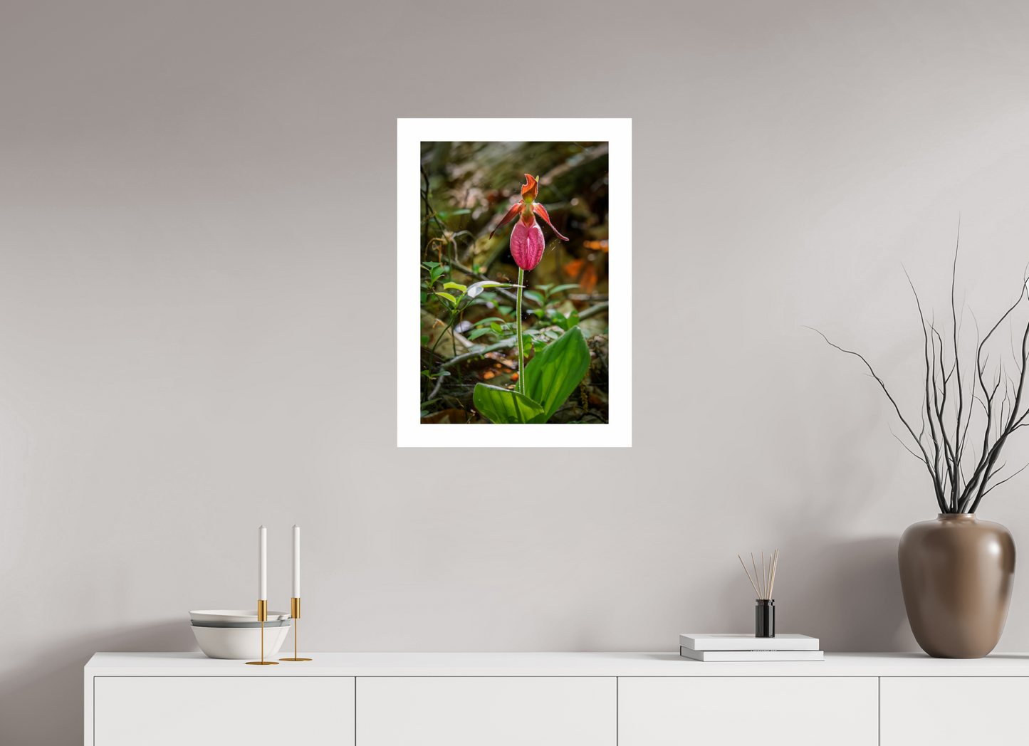 16 x 24″, Hahnemühle Photo Rag Baryta, 2 in. white border. (Print Only) Pink Lady Slipper 01