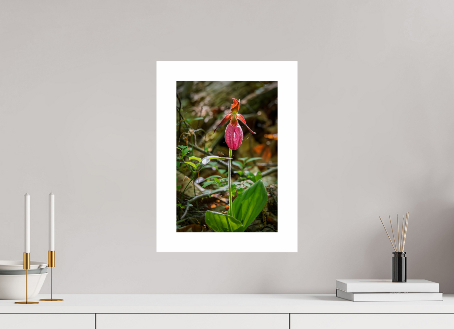 10 x 15″, Hahnemühle Photo Rag Baryta, 2 in. white border. (Print Only) Pink Lady Slipper 01