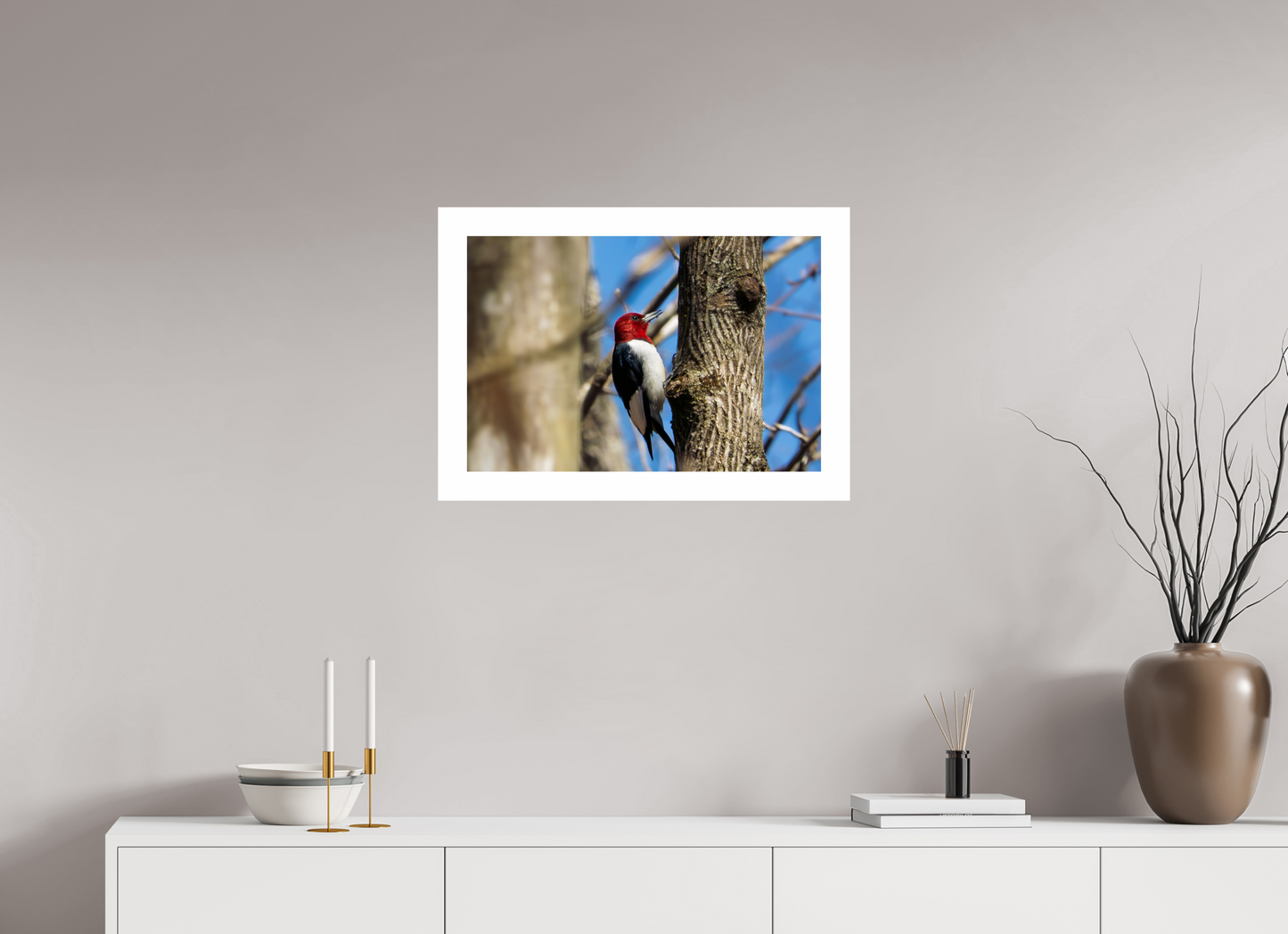 24 x 16″, Hahnemühle Photo Rag Baryta, 2 in. white border. (Print Only) Red-headed Woodpecker 01