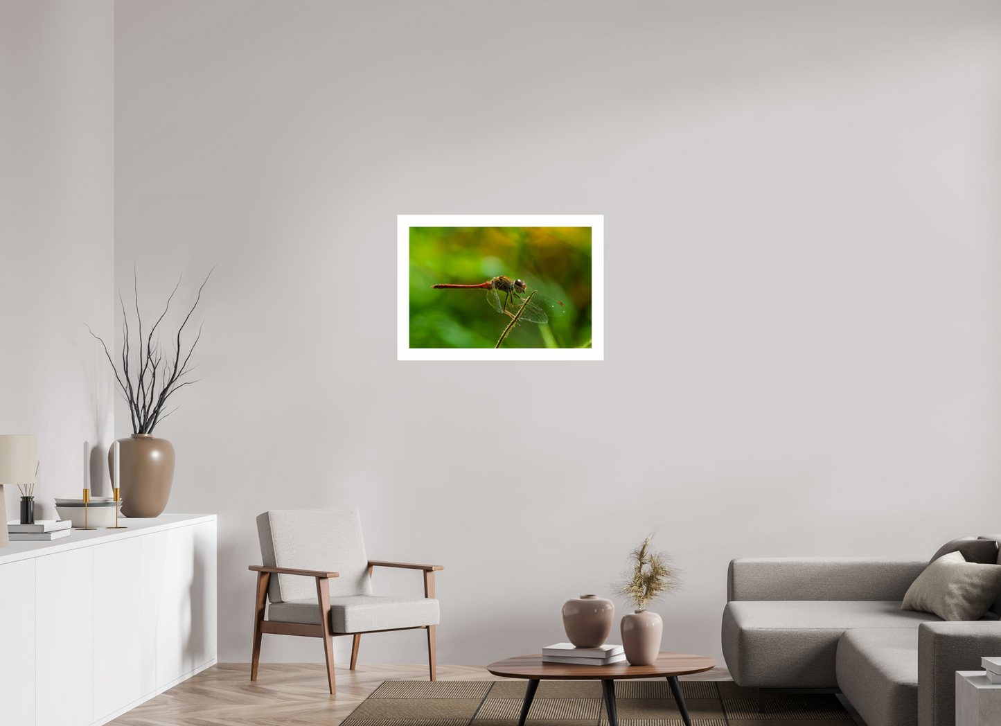 30 x 20″, Hahnemühle Photo Rag Baryta, 2 in. white border. (Print Only) Autumn Meadowhawk Dragonfly (male) 01