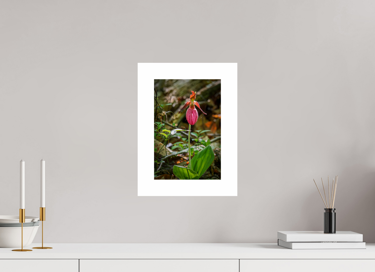 8 x 12″, Hahnemühle Photo Rag Baryta, 2 in. white border. (Print Only) Pink Lady Slipper 01