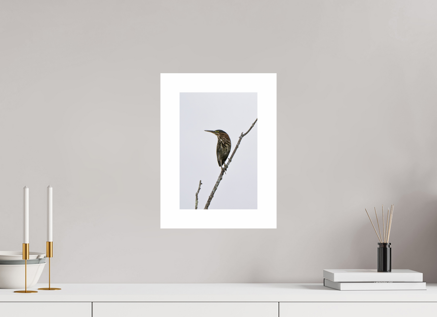 8 x 12″, Hahnemühle Photo Rag Baryta, 2 in. white border. (Print Only) Green Heron 01