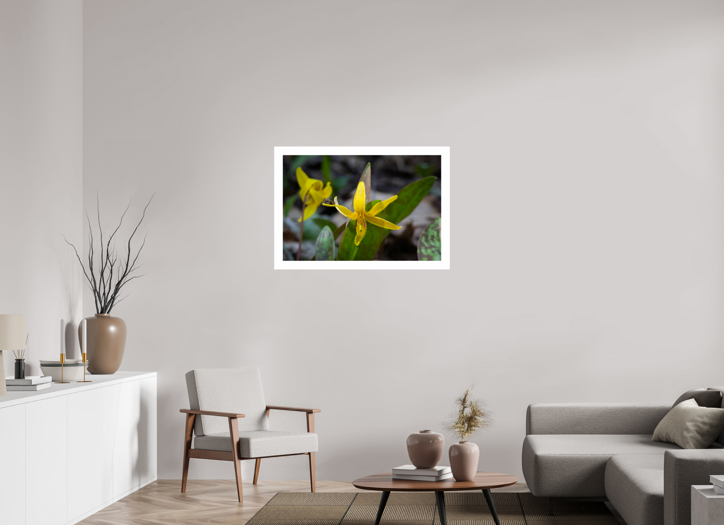 36 x 24″, Hahnemühle Photo Rag Baryta, 2 in. white border. (Print Only) Trout Lily 02