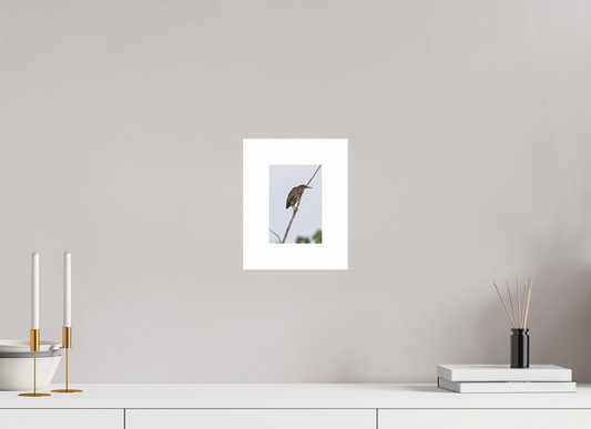 4 x 6″, Hahnemühle Photo Rag Baryta, 2 in. white border. (Print Only) Green Heron 02
