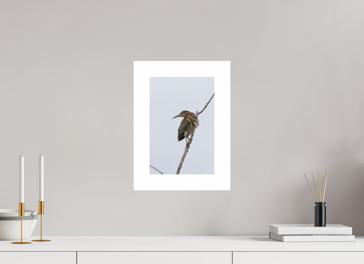 8 x 12″, Hahnemühle Photo Rag Baryta, 2 in. white border. (Print Only) Green Heron 03