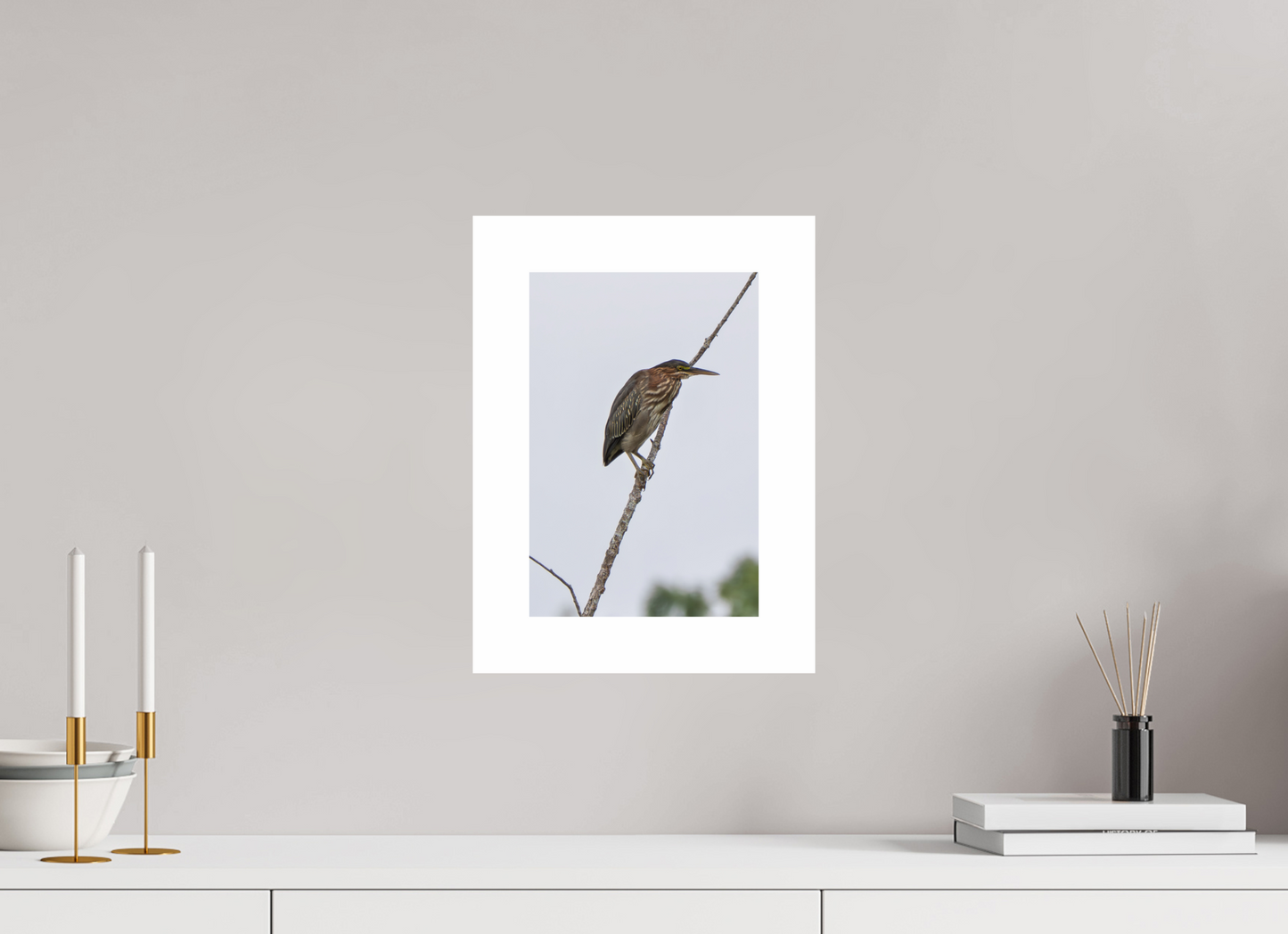 8 x 12″, Hahnemühle Photo Rag Baryta, 2 in. white border. (Print Only) Green Heron 02