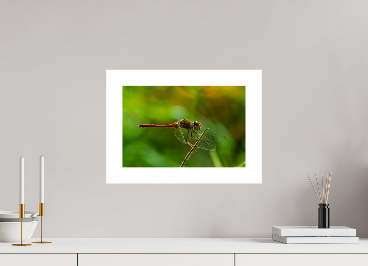 15 x 10″, Hahnemühle Photo Rag Baryta, 2 in. white border. (Print Only) Autumn Meadowhawk Dragonfly (male) 01