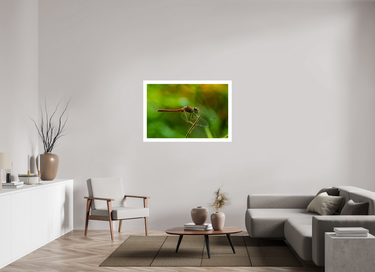 45 x 30″, Hahnemühle Photo Rag Baryta, 2 in. white border. (Print Only) Autumn Meadowhawk Dragonfly (male) 01