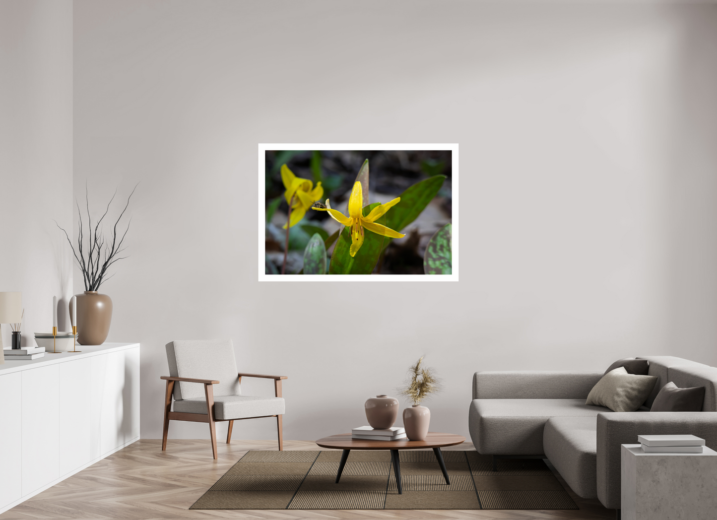 54 x 36″, Hahnemühle Photo Rag Baryta, 2 in. white border. (Print Only) Trout Lily 02