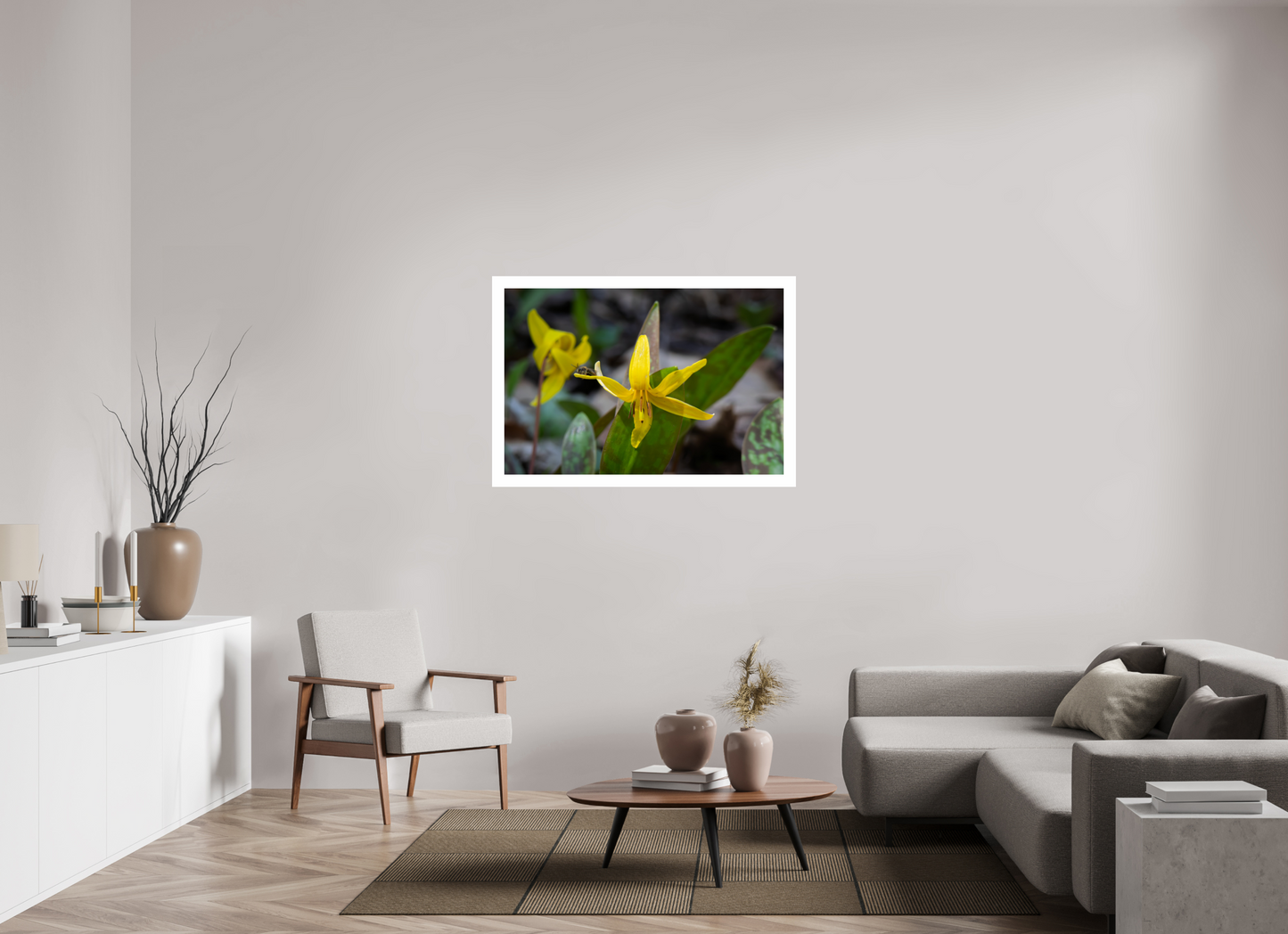 45 x 30″, Hahnemühle Photo Rag Baryta, 2 in. white border. (Print Only) Trout Lily 02