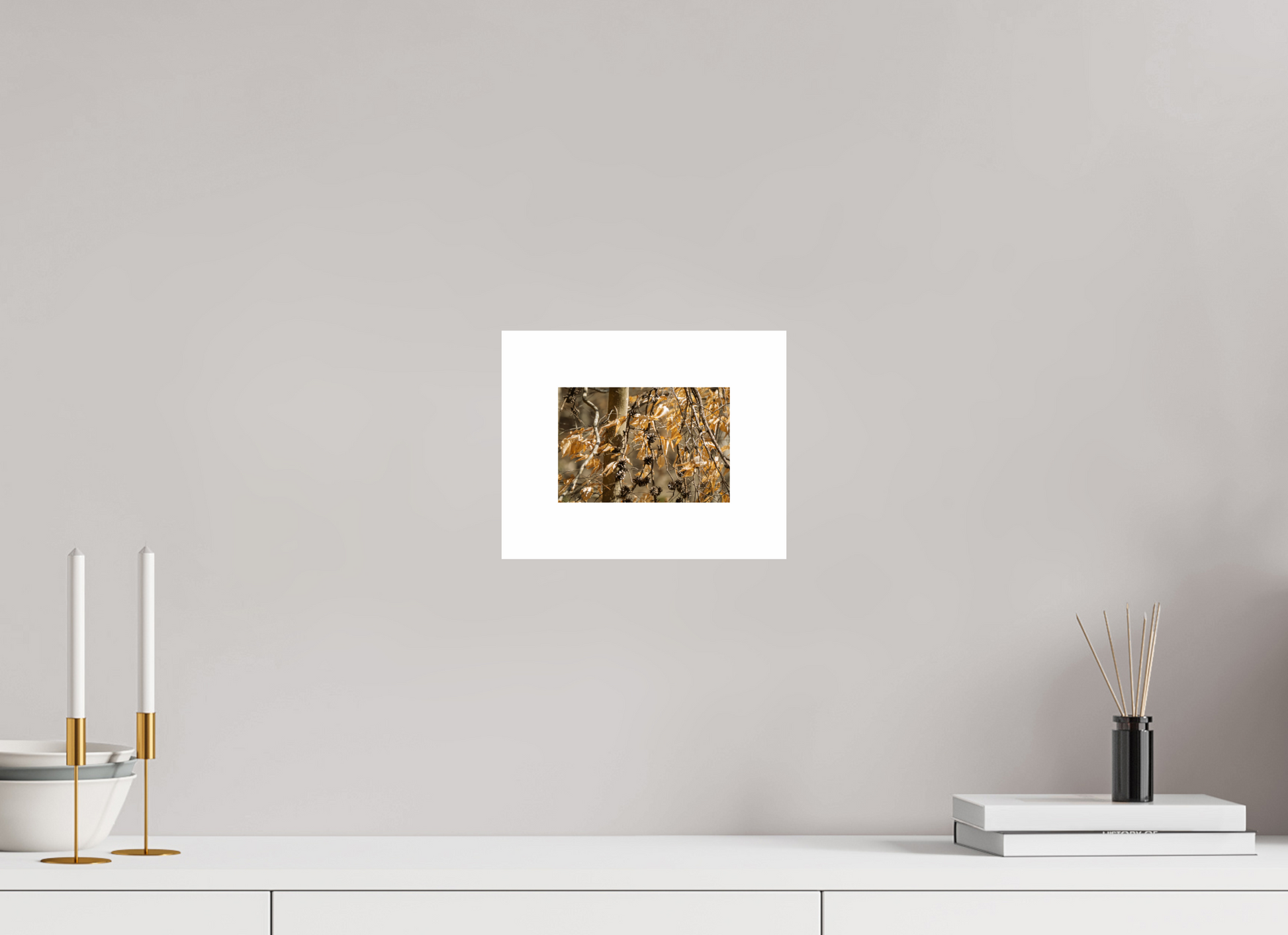 6 x 4″, Hahnemühle Photo Rag Baryta, 2 in. white border. (Print Only) Forest Gold 01