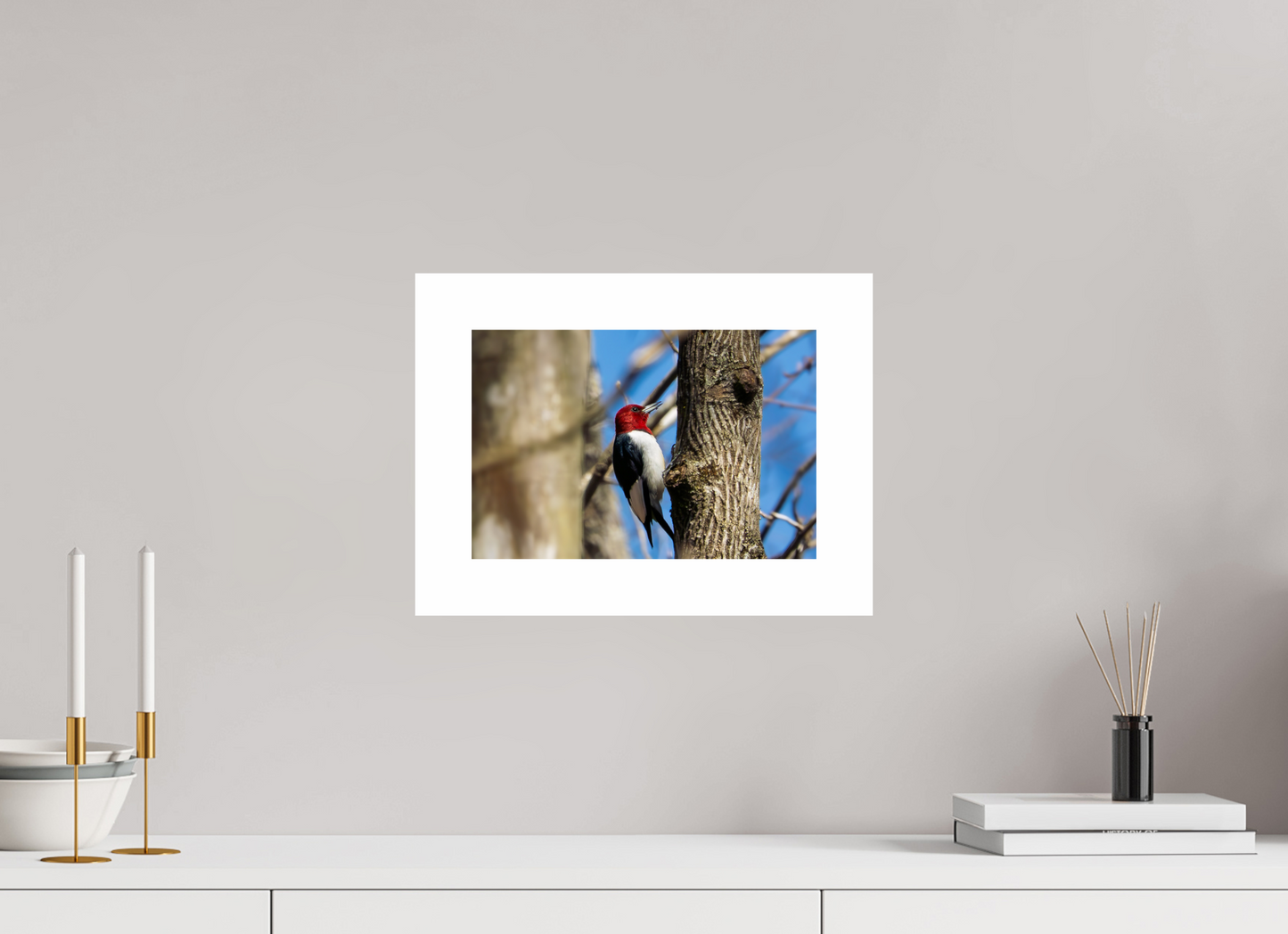 12 x 8″, Hahnemühle Photo Rag Baryta, 2 in. white border. (Print Only) Red-headed Woodpecker 01