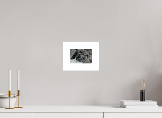 6 x 4″, Hahnemühle Photo Rag Baryta, 2 in. white border. (Print Only) Great Blue Heron 02