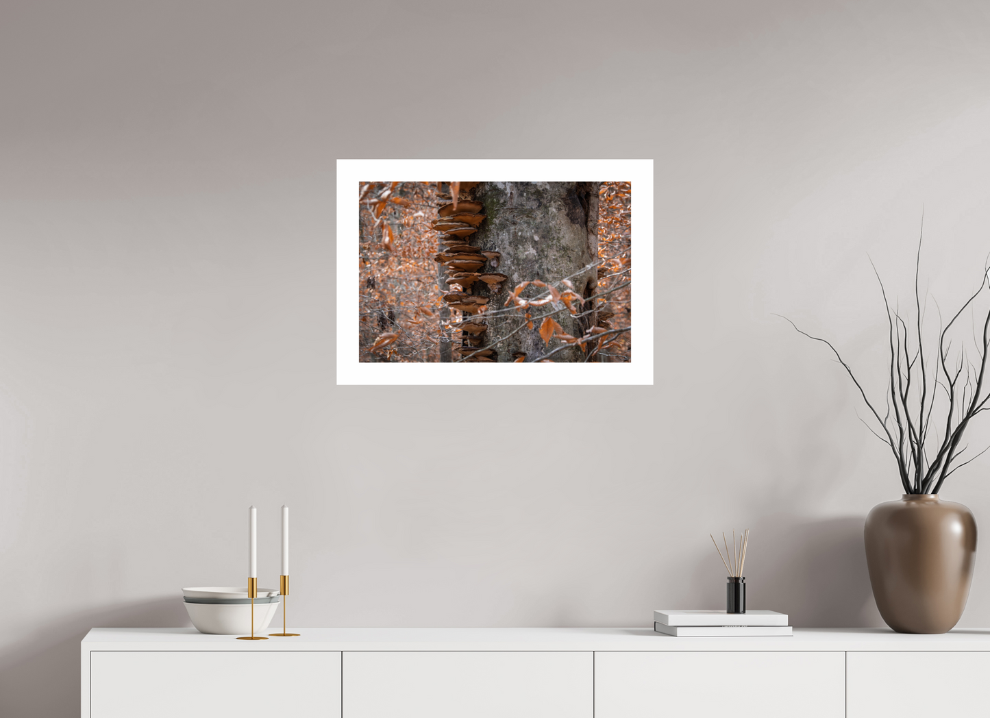 24 x 16″, Hahnemühle Photo Rag Baryta, 2 in. white border. (Print Only) Shelf Tree 01