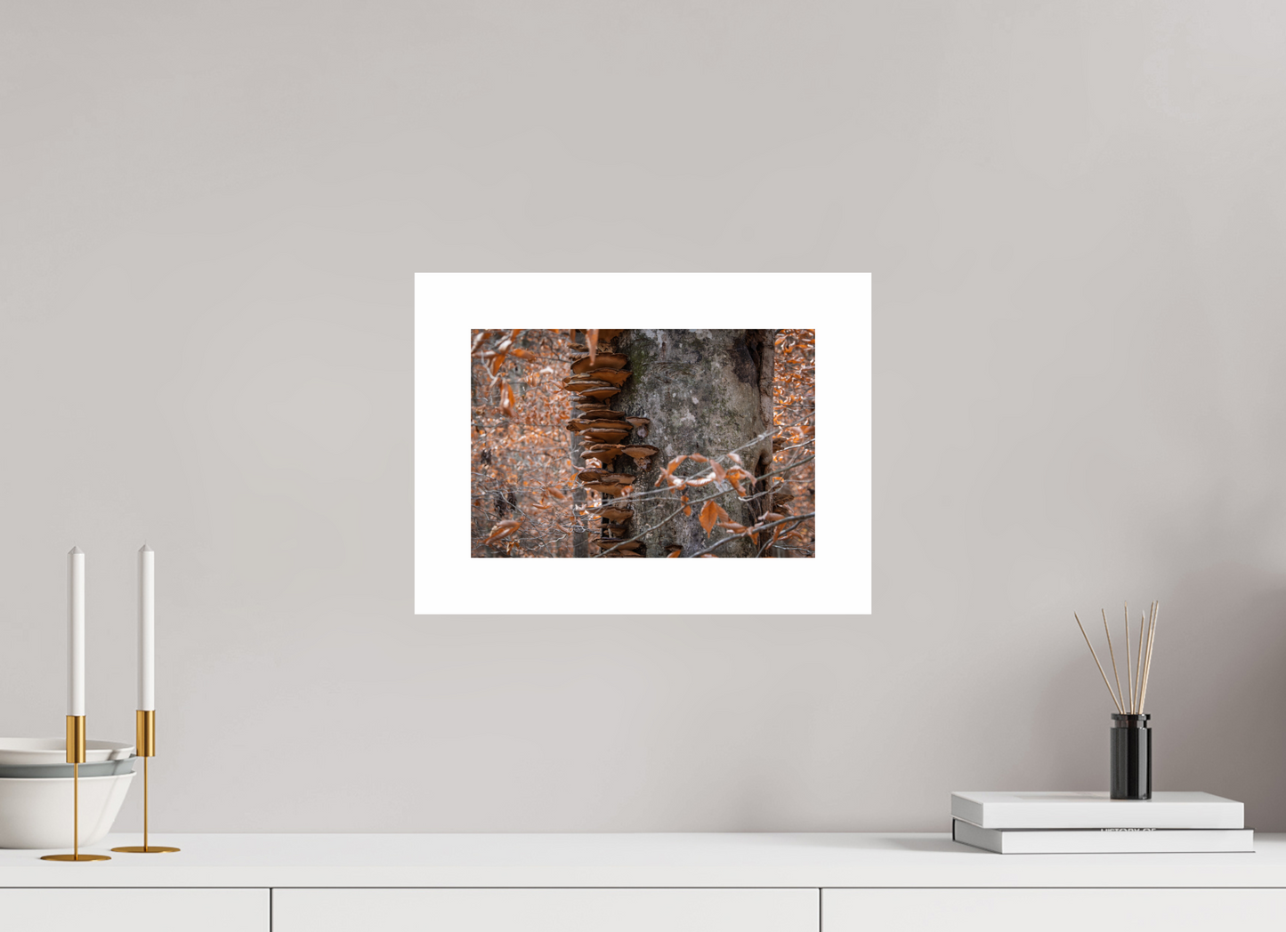 12 x 8″, Hahnemühle Photo Rag Baryta, 2 in. white border. (Print Only) Shelf Tree 01