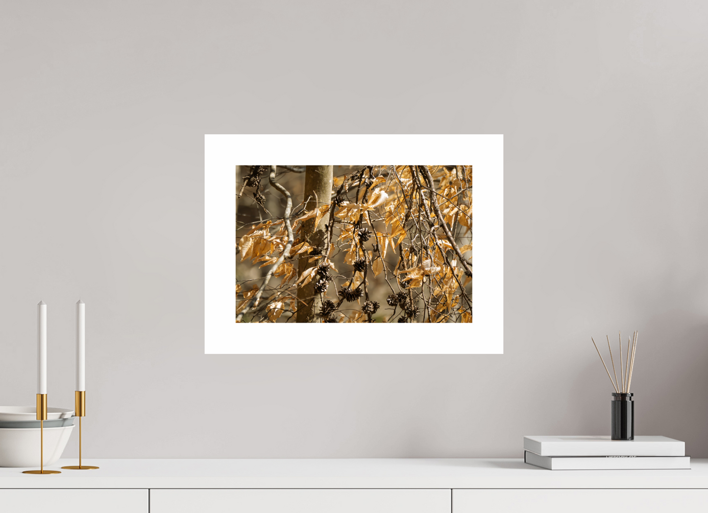 15 x 10″, Hahnemühle Photo Rag Baryta, 2 in. white border. (Print Only) Forest Gold 01