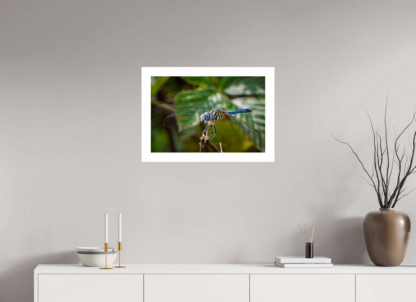 24 x 16″, Hahnemühle Photo Rag Baryta, 2 in. white border. (Print Only) Blue Dasher Dragonfly (male) 02
