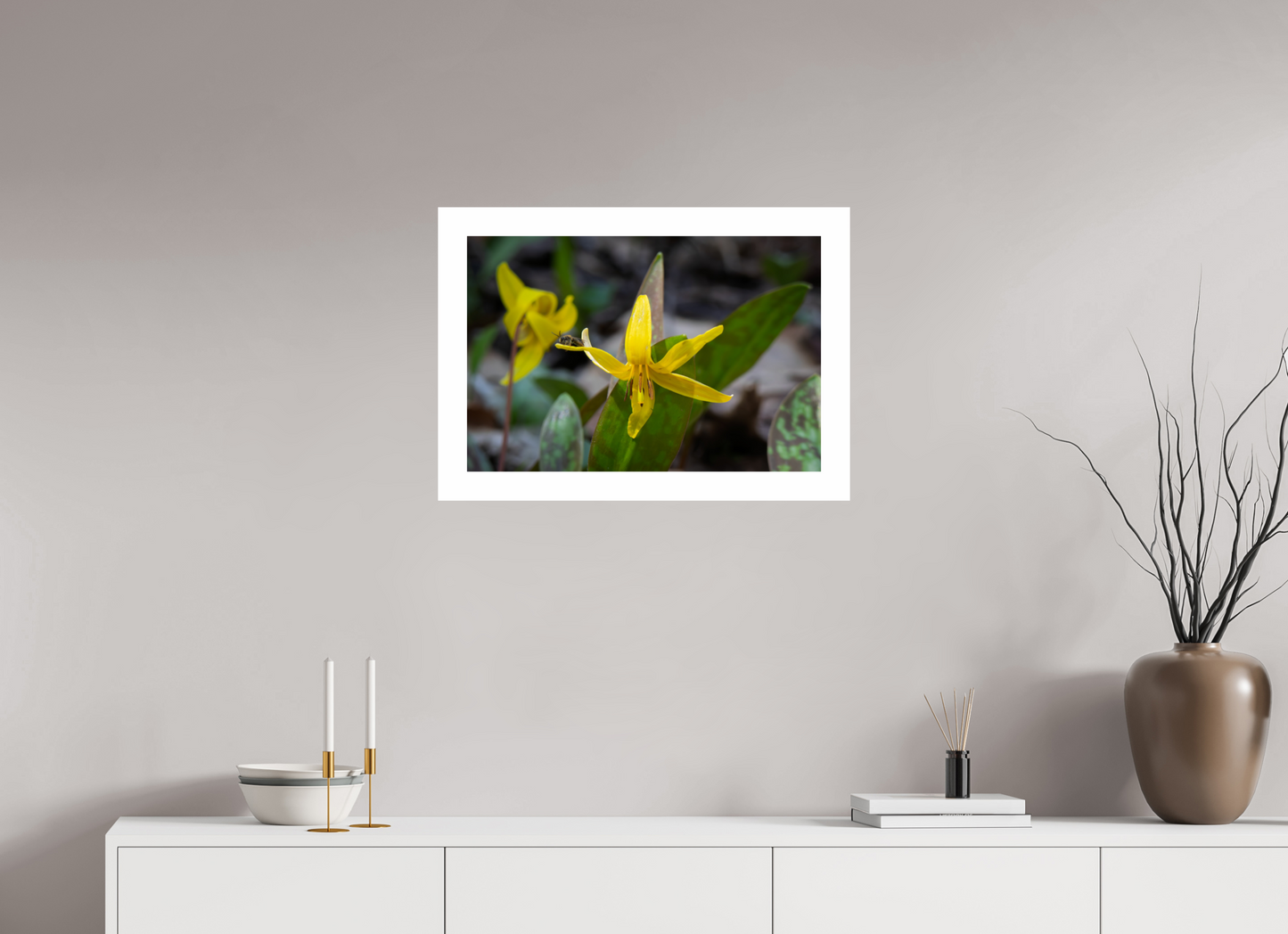 24 x 16″, Hahnemühle Photo Rag Baryta, 2 in. white border. (Print Only) Trout Lily 02