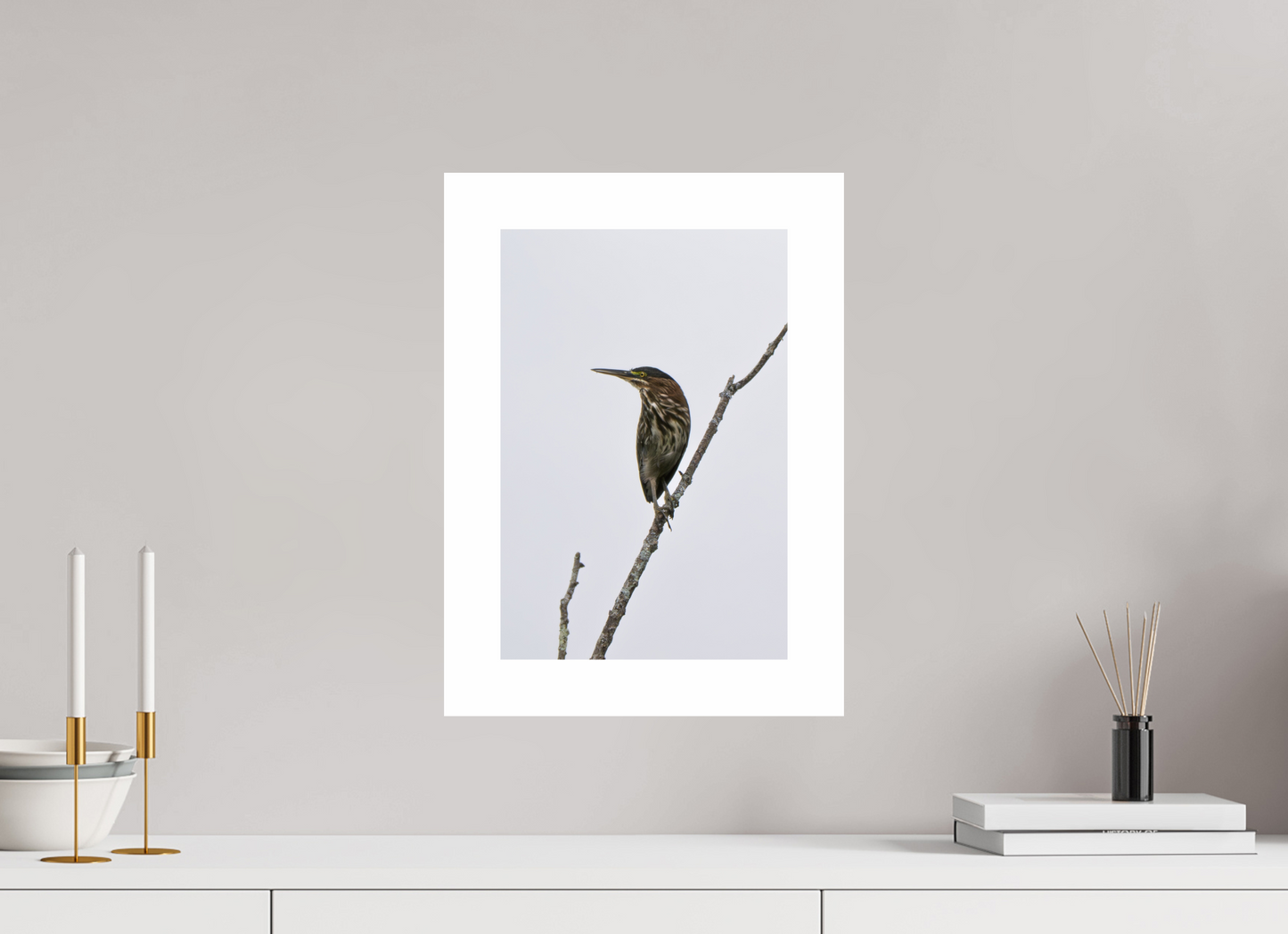 10 x 15″, Hahnemühle Photo Rag Baryta, 2 in. white border. (Print Only) Green Heron 01