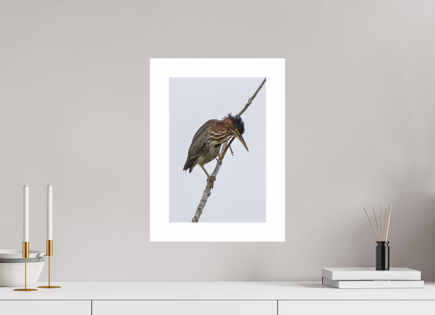 10 x 15″, Hahnemühle Photo Rag Baryta, 2 in. white border. (Print Only) Green Heron 04