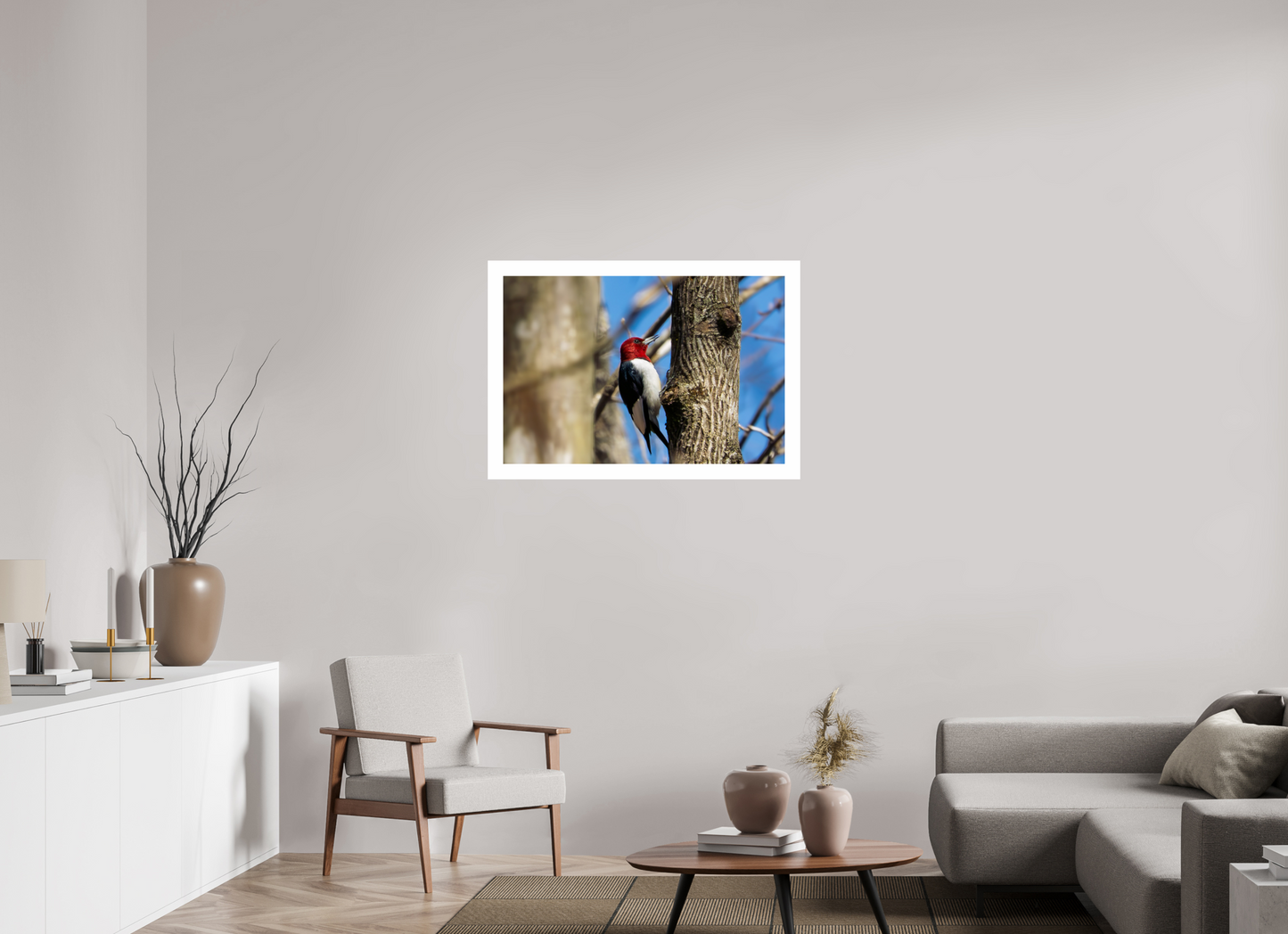 36 x 24″, Hahnemühle Photo Rag Baryta, 2 in. white border. (Print Only) Red-headed Woodpecker 01