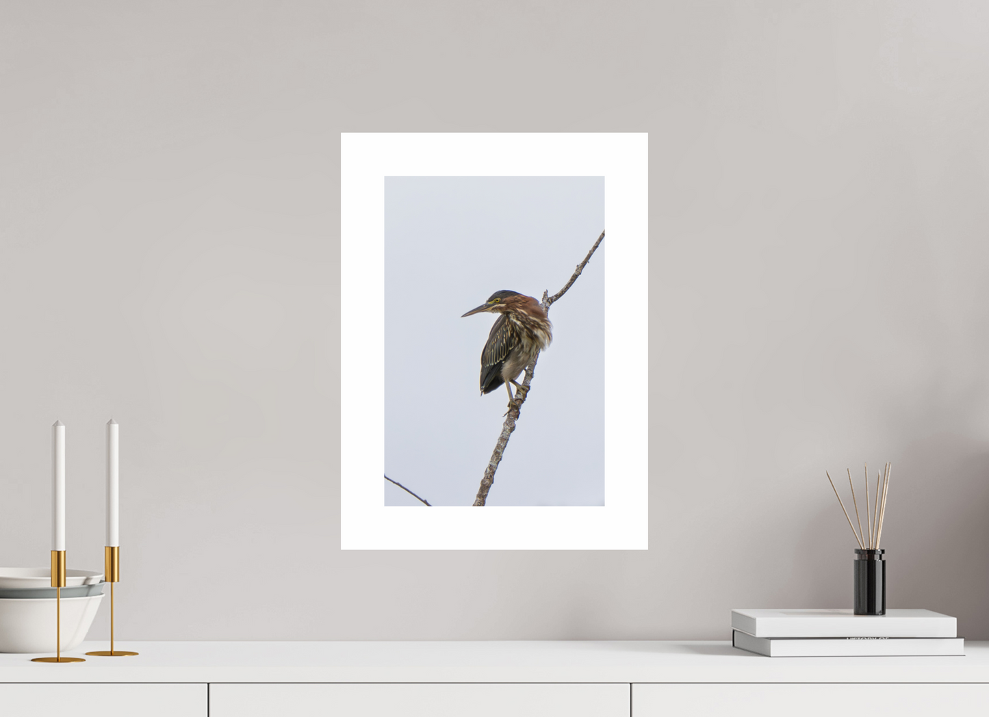 10 x 15″, Hahnemühle Photo Rag Baryta, 2 in. white border. (Print Only) Green Heron 03