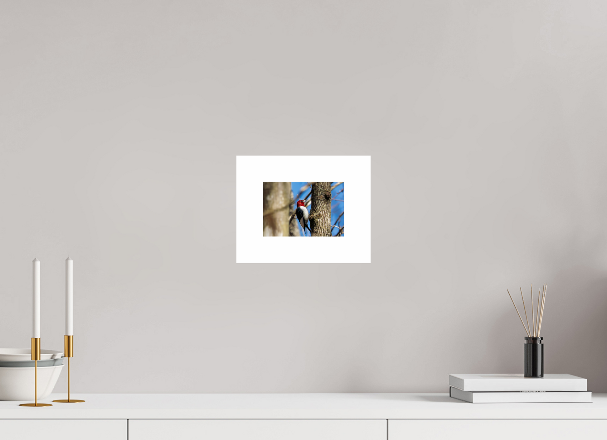 6 x 4″, Hahnemühle Photo Rag Baryta, 2 in. white border. (Print Only) Red-headed Woodpecker 01