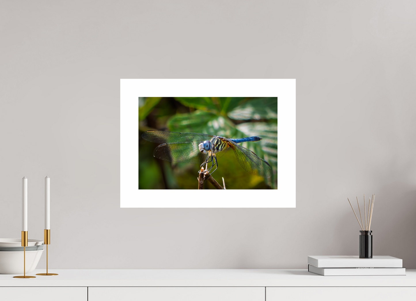 15 x 10″, Hahnemühle Photo Rag Baryta, 2 in. white border. (Print Only) Blue Dasher Dragonfly (male) 02