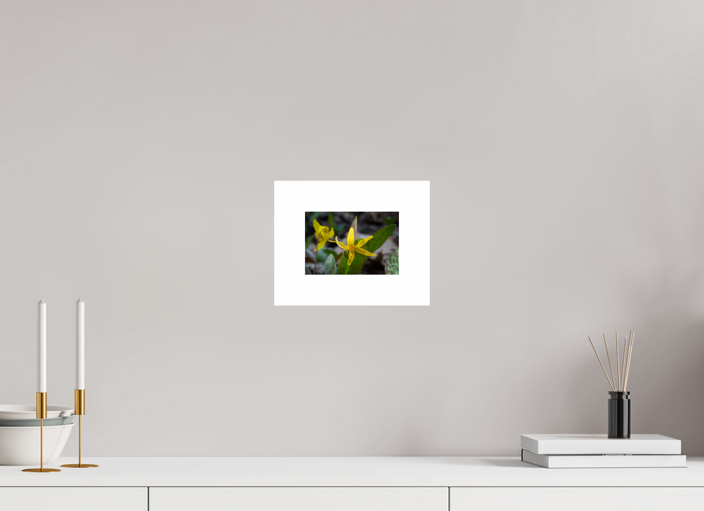 6 x 4″, Hahnemühle Photo Rag Baryta, 2 in. white border. (Print Only) Trout Lily 02