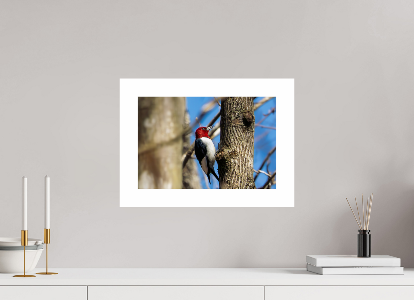 15 x 10″, Hahnemühle Photo Rag Baryta, 2 in. white border. (Print Only) Red-headed Woodpecker 01