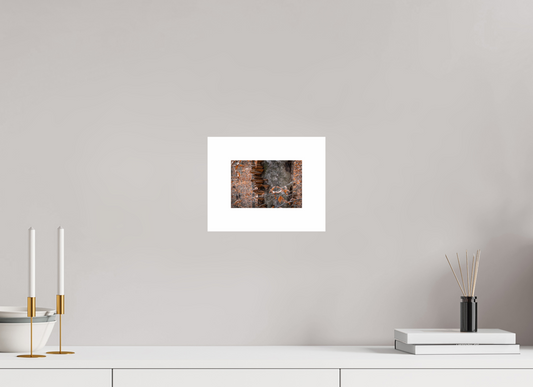 Shelf Tree 01