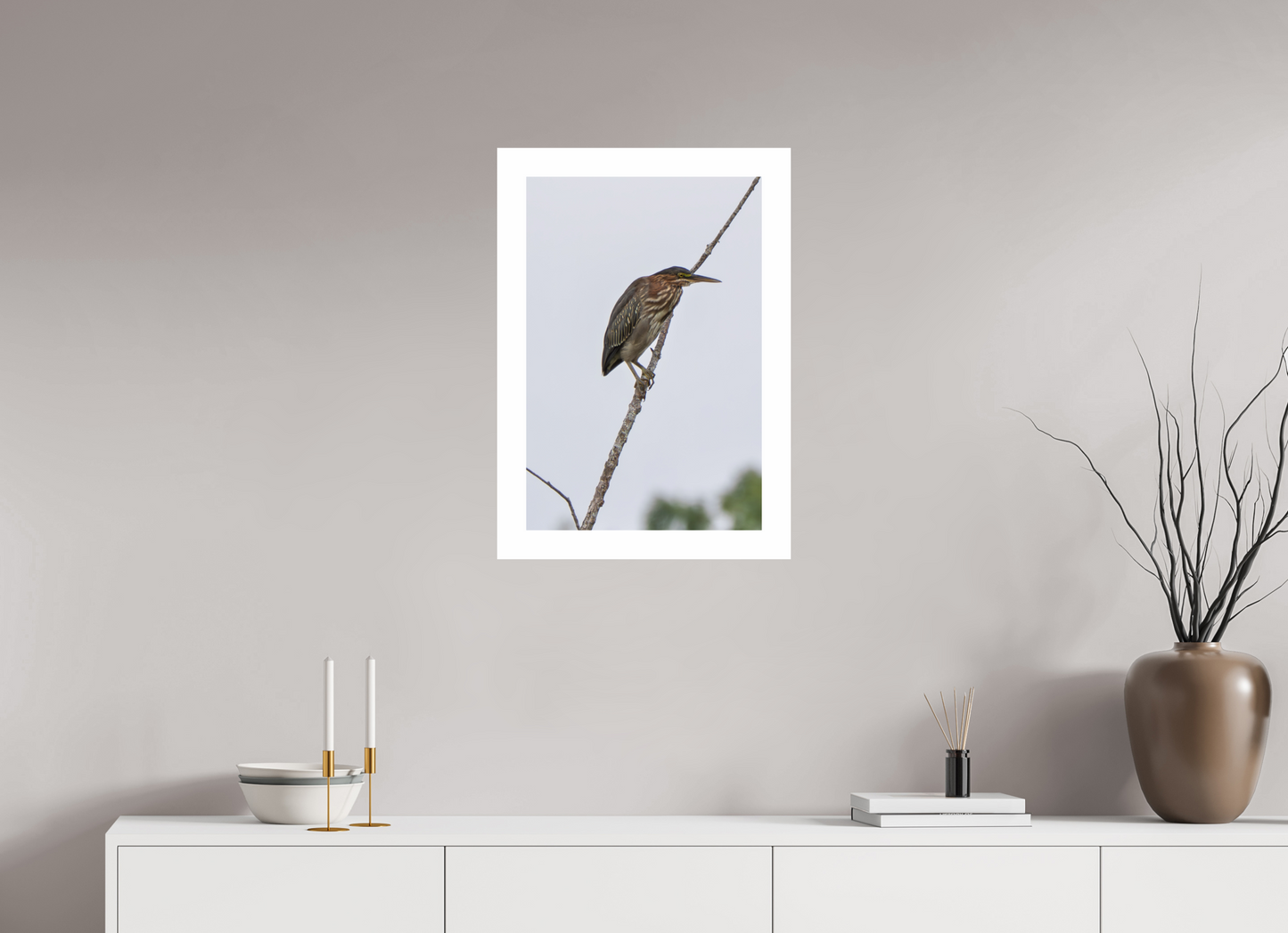 16 x 24″, Hahnemühle Photo Rag Baryta, 2 in. white border. (Print Only) Green Heron 02