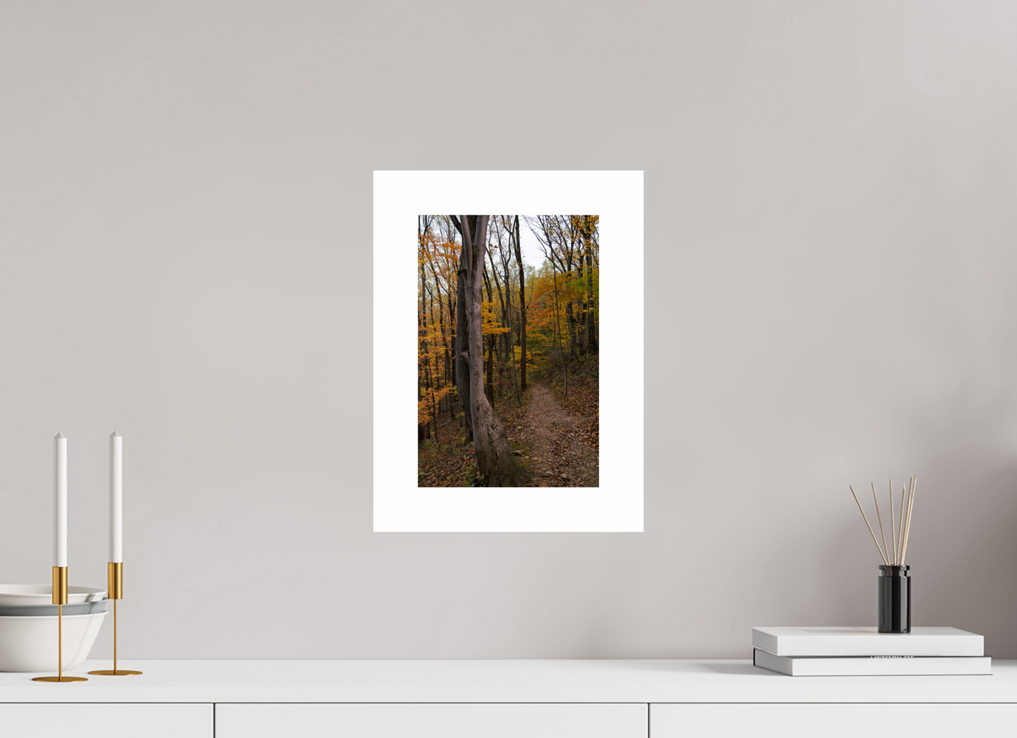 8 x 12″, Hahnemühle Photo Rag Baryta, 2in. white border. (Print Only) Autumn Path 03