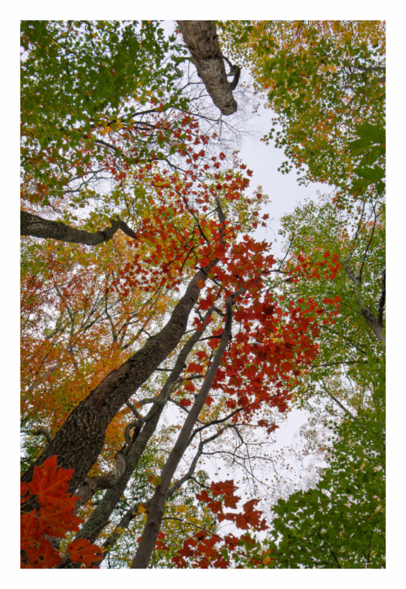 Main image Autumn Skylight 01