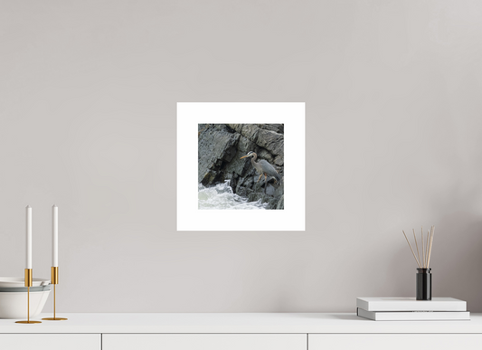 Fishing Heron 01