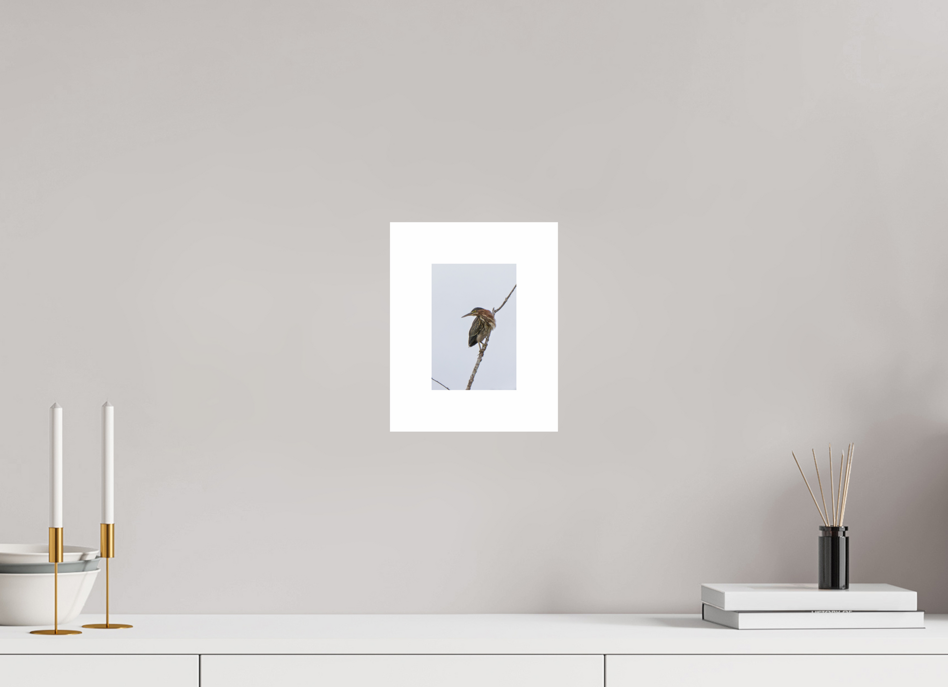 4 x 6″, Hahnemühle Photo Rag Baryta, 2 in. white border. (Print Only) Green Heron 03