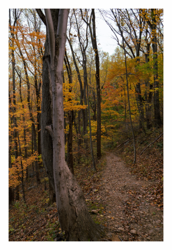 Main image Autumn Path 03